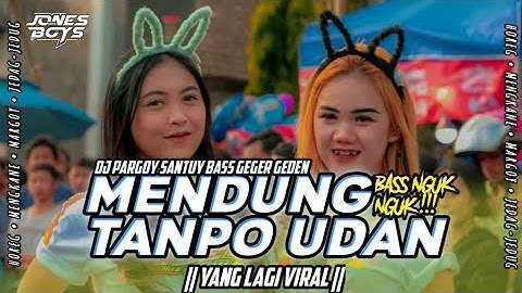 DJ MENDUNG TANPO UDAN •AWAK DEWE TAU DUWE BAYANGAN • VIRAL TIKTOK 2024 PARTY HOREG||DJ JONESBOYS ID