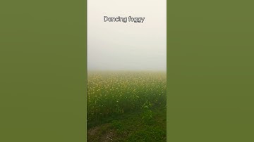 Thumbnail of foggy dancing with air in countryside 🔥