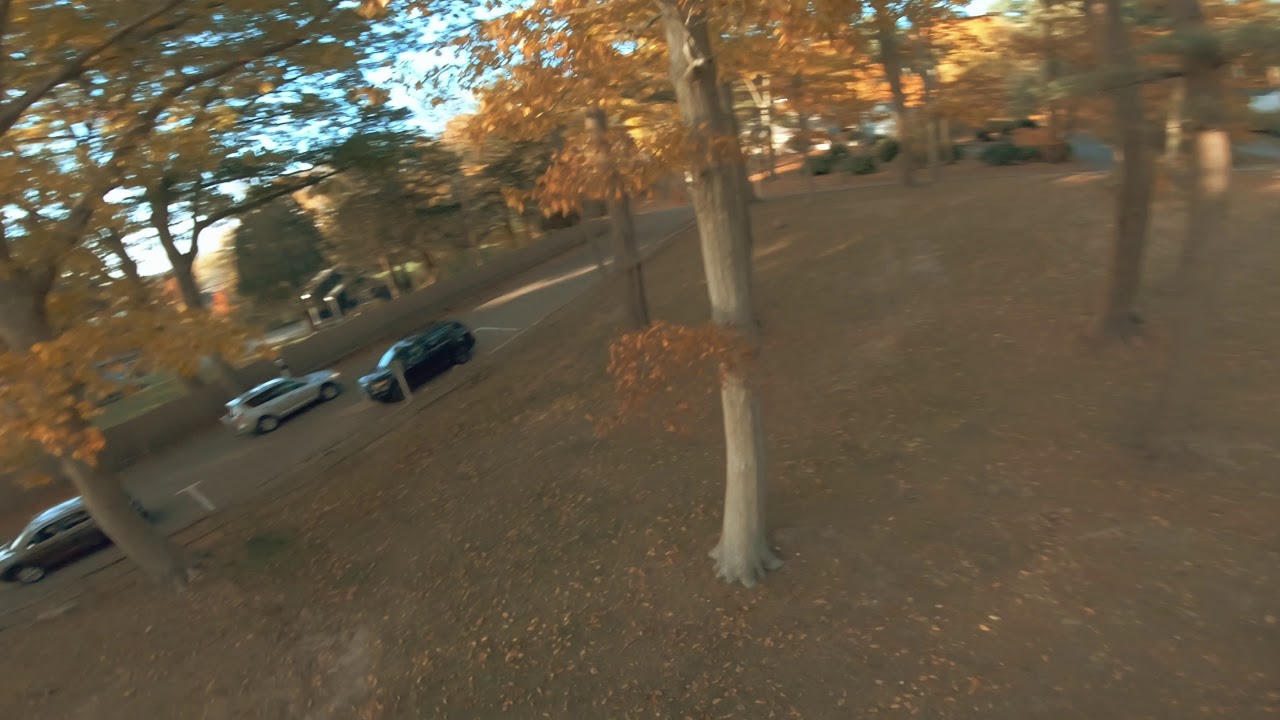 Freestyle FPV  Golden Hour Flow