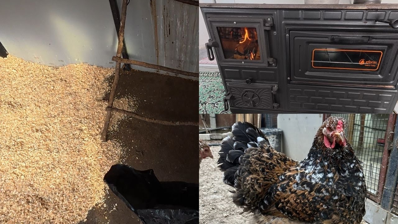 KÜMES TEMİZLİĞİ - YENİ SOBA ALDIK - ÇATI VE KAYNAK İŞLERİ