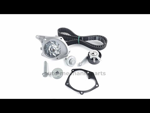 Комплект натягувач + ремінь ГРМ + помпа на Renault Clio IV 2012 -> 1.5dCi - INA - 530019731, видео 1