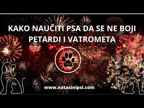 Video: Pasji stenoza