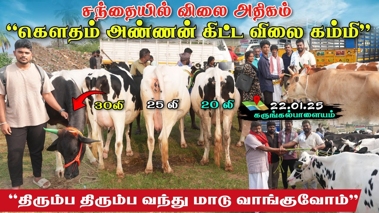 🔥சந்தை விலையை விட குறைத்து வாங்கி தந்த கெளதம்|Happy Customer🙂