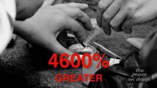 The Truth About Addiction - Gabor Maté & The Peace on Drugs