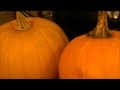 A Few Words From Debbie to  My YouTube Friends, Subscribers, and Future Subscribers...