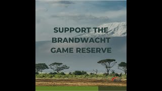 Download Lagu 🌱 iSQI Supports Reforestation and Community Empowerment 🌍 MP3