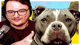 The Best Way to STOP a Pitbull