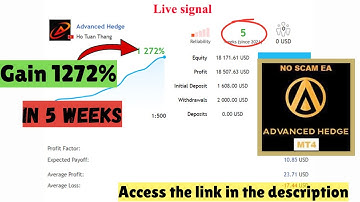 Advanced Hedge MT4 Forex EA: Ultimate Low-Risk Automated Trading
