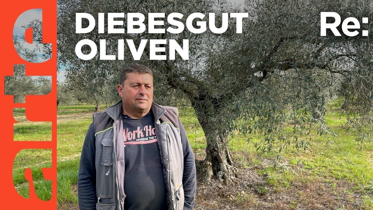 Wut auf Spaniens Olivendiebe | ARTE Re: Reupload