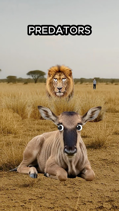 Animals With Brutal Lives After Birth