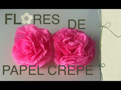 Vídeo: Com Fer Flors De Paper Crepé