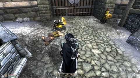 Oblivion - Guard forgot he killed a beggar