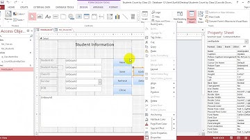 Microsoft Access Insert Update Delete