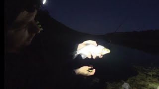Рыбалка с ночевкой в диком месте р. Волга