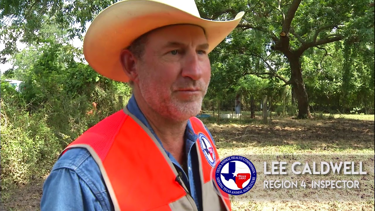 Boling Texas Response YouTube