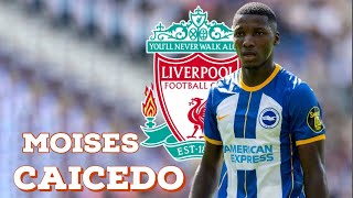Moises Caicedo - Welcome to Liverpool? |2023|