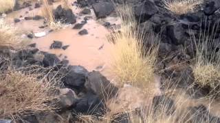 Ů
٠اŮ
ءاع اŮŮ
ŘŻŮŮŘŠ 2012/9/4