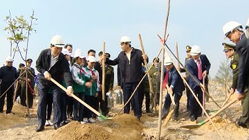 Chủ tịch nước Trần Đại Quang phát động Tết trồng cây 2017