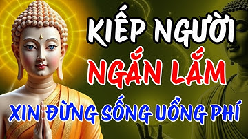Lời Phật Dạy Thức Tỉnh Tâm Hồn: Đừng Để Kiếp Người Trôi Qua Uổng Phí