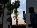 🌿🍃🌿🍃 Save trees 🌲🌳🌴🌲🌳🌴🌲🌳🌴Save environment