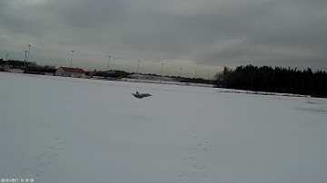 Test Flight 64mm Viggen EDF V1 with Thrust Vector mod Jan 2017