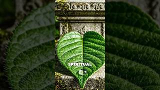 "The Earth is Breathing... and Ancient Texts Knew It 🌿📜" #shorts #shortsvideo #viral
