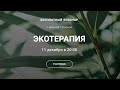 Вебинар "ЭКОТЕРАПИЯ" с Ириной Тулиной