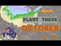 What to Plant in October A Complete Guide for Zone 6b and Australian Gardener