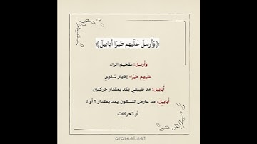 أحكام التجويد في سورة الفيل - تلاوة الشيخ: أيمن سويد