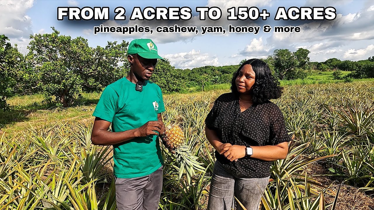 From 2 ACRES TO 150+ | This NIGERIAN FARMER now GROWS over 2 MILLION PINEAPPLES & CASH CROPS! 🌍 🇳🇬