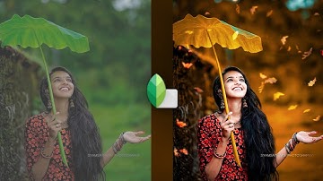 Snapseed moody orange effect photo editing / Snapseed background colour change photo editing