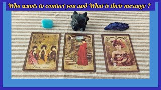 🌹🔮Tarot Pick-A-Card: WHO WANTS TO CONTACT YOU AND WHAT IS THEIR MESSAGE?🌹🔮 screenshot 5
