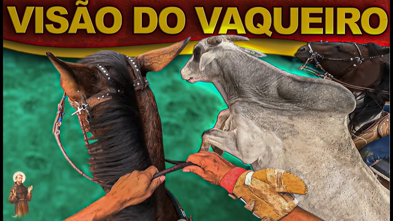 Nossa visão - Segunda Vaquejada com cavalo -