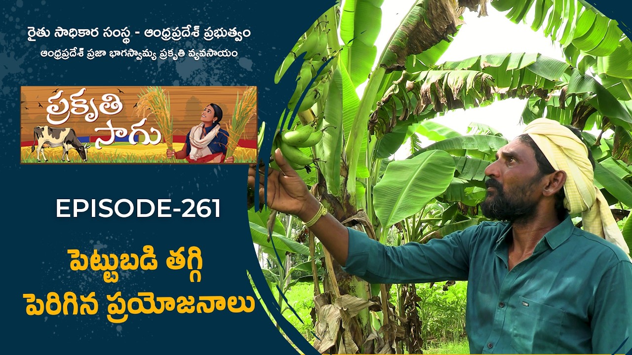 E261 | పెట్టుబడి తగ్గి పెరిగిన ప్రయోజనాలు | కనపర్తి రాజేష్ | కృష్ణా జిల్లా