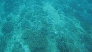 980529 後壁湖半潛艇 9