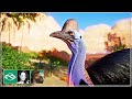 🐫 Cassowary Habitat | Desert Franchise Mode | Planet Zoo |