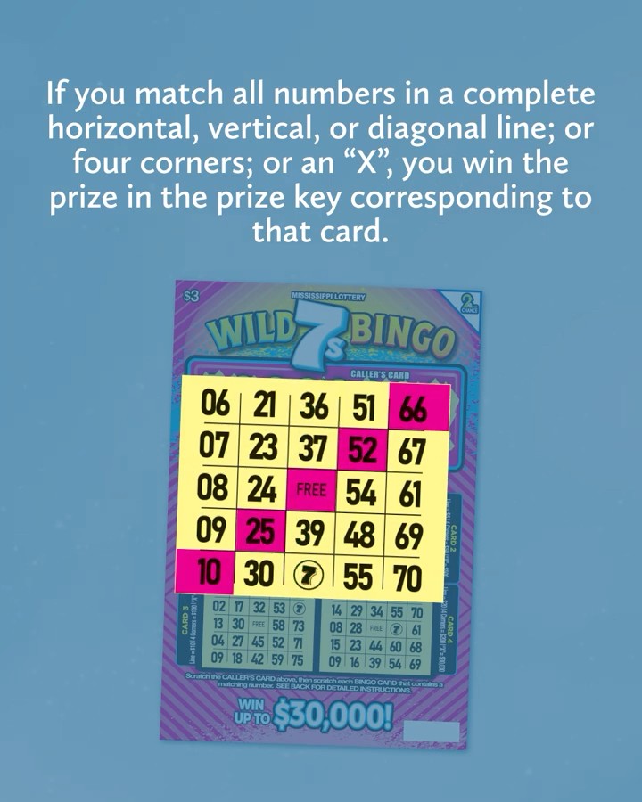【中古】 Bingo！（7） How to Play: Wild 7s Bingo - YouTube