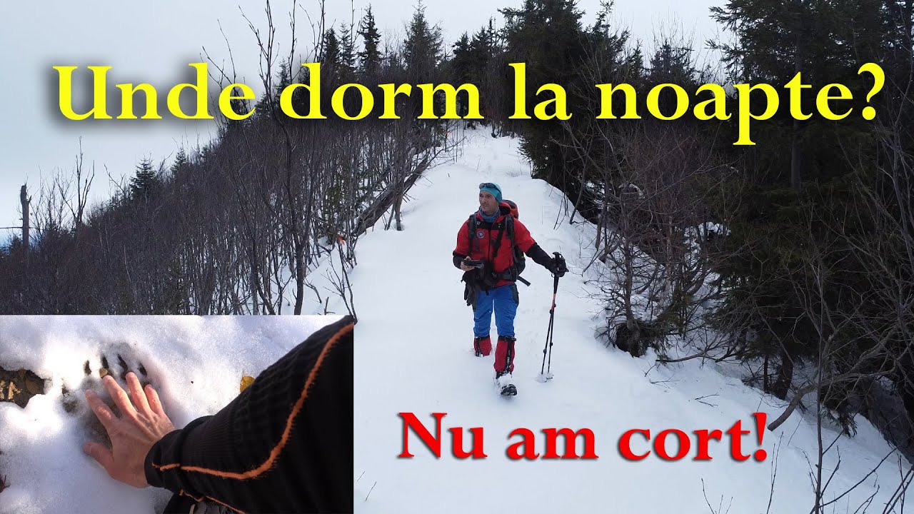 Unde sunt muntii Bârgău? Pe poteci, spre inima ta! S4 - Ep 7 (114)