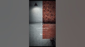 سورة الكوثر تلاوة خاشعة للقارئ عبد الرحمن مسعد
