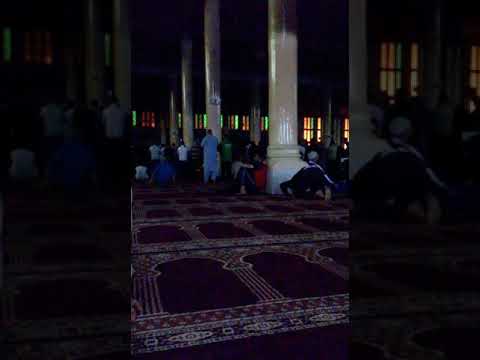 صلاة التراويح في مسجد اول نوفمبر