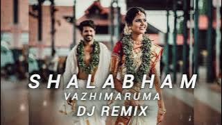 Shalabham Vazhimaruma DJ REMIX song @DjkidDjkid