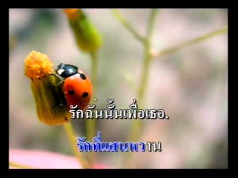 เพลงรักฉันนั้นเพื่อเธอ คาราโอเกะ พิงค์ แพนเตอร์