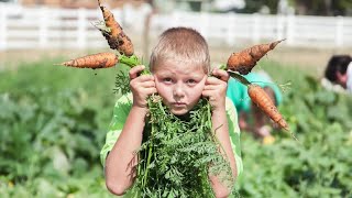 Giving garden in Frederick needs help finding a community fridge for fresh produce donations