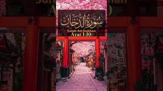 SurahDukhan Ayat 1-10 just urdu translation #quranrecitation #surahdukhan #islamicreminder