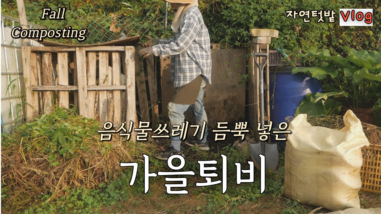 1 октября]Приготовление осеннего компоста на следующую весну/ Рисовые шарики с тушеным корнем лопуха