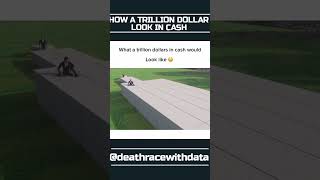 1 TRILLION LOOK IN CASH COMPARISON #money #cash #billionaire #trillionaire #reels