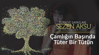 Sezen Aksu - Çamlığın Başında Tüter Bir Tütün - Türkiye Şarkıları (Live) Resimi