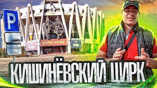 Кишинёвский цирк🎪