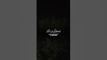 قرآن كريم بصوت عبدالرحمن مسعد #تلاوة_خاشعة #قرآن #راحة_نفسية #الله #حالات_واتس #اكسبلور #duet #لايك