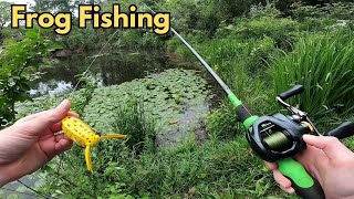 Bank Fishing w/ Frogs And Texas Rigs!